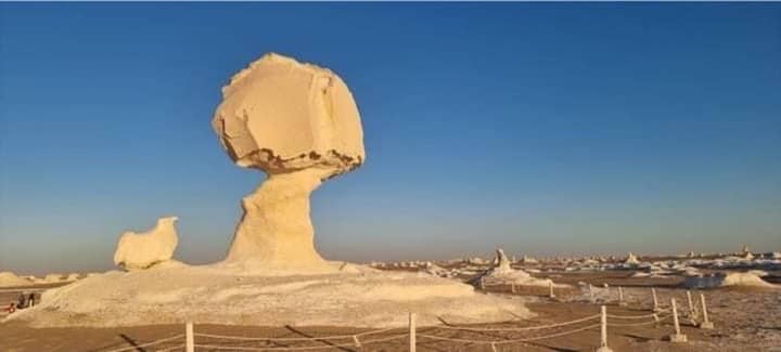 White Desert Over Night